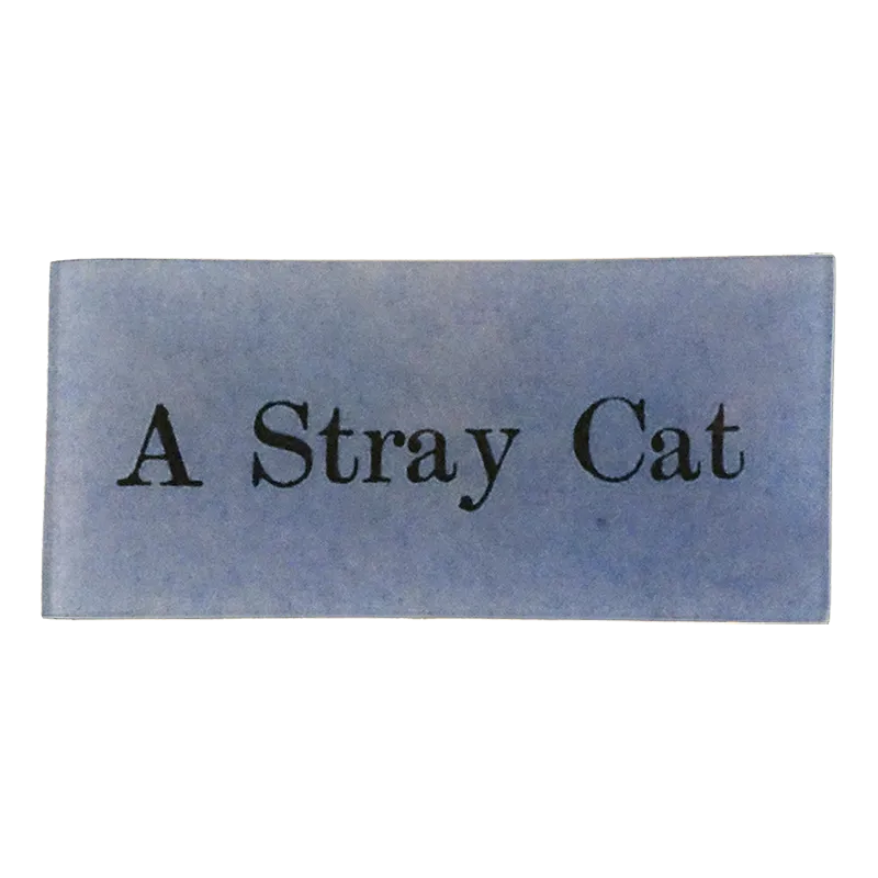 A Stray Cat