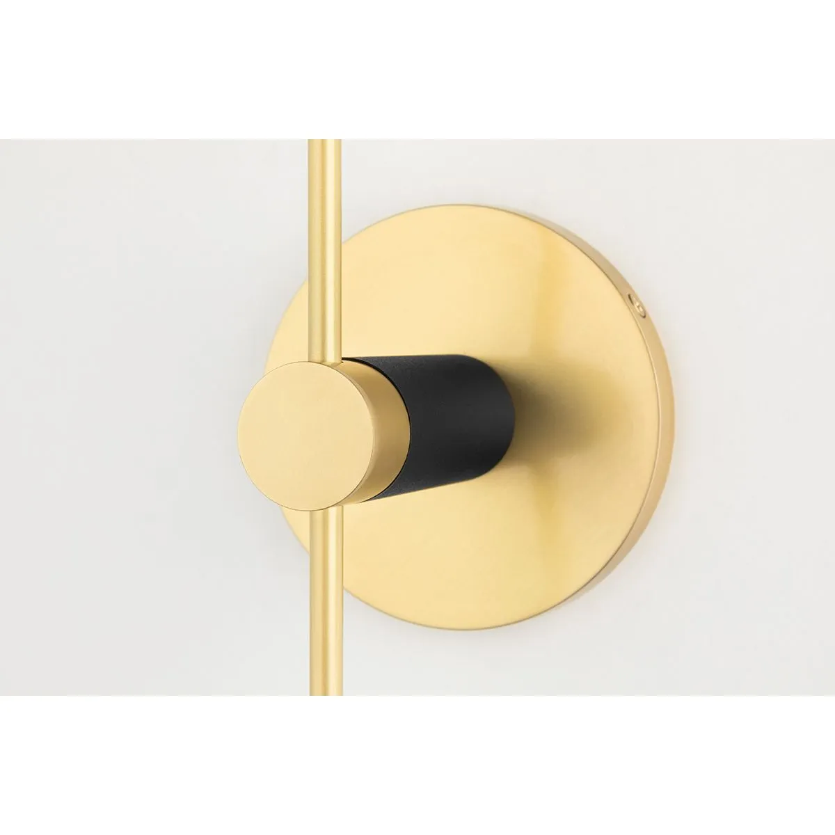 Asrid 2 Lights Armed Sconce Brass & Black Finish