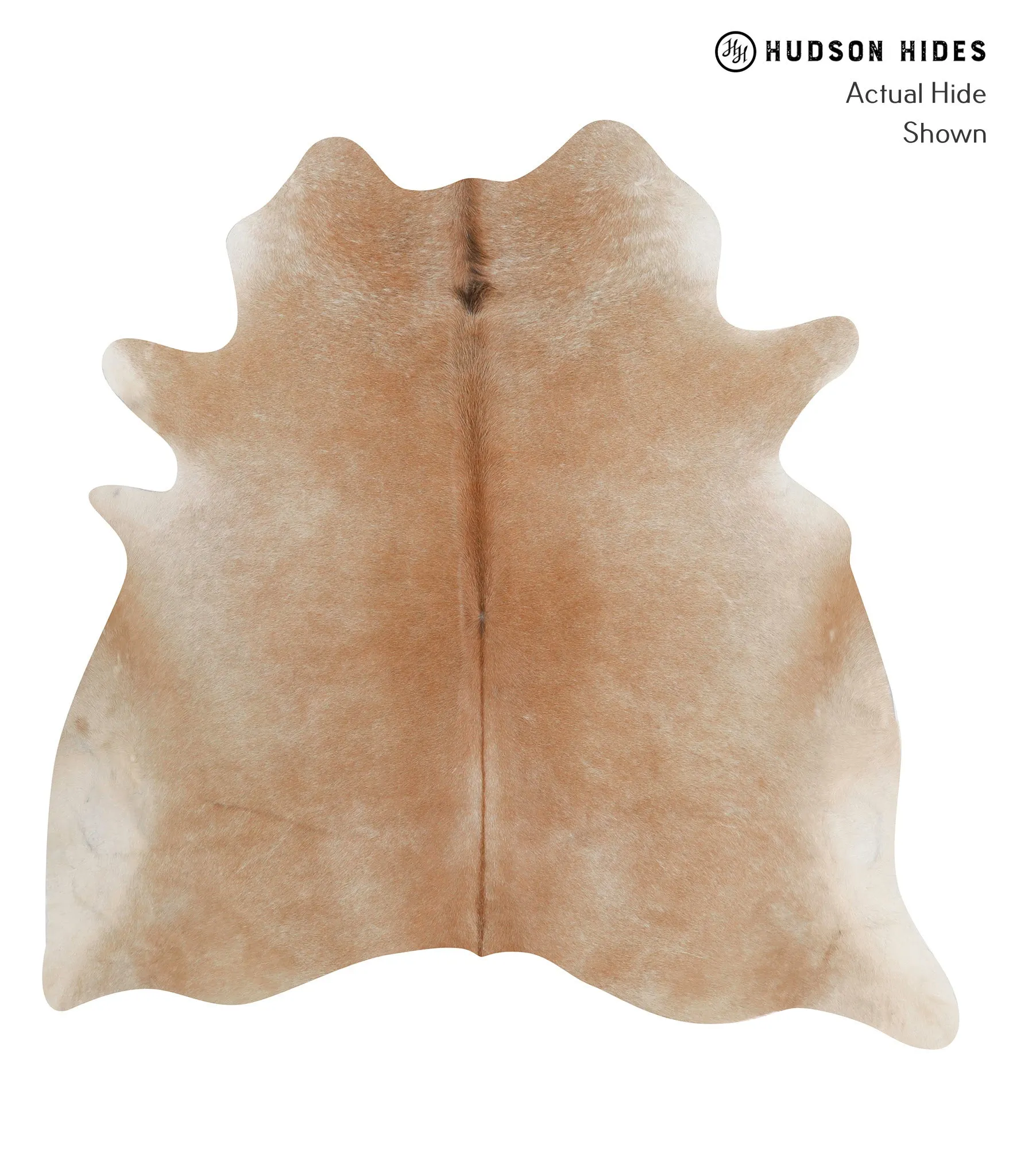 Beige X-Large Brazilian Cowhide Rug 6'4"H x 6'3"W #85469 by Hudson Hides