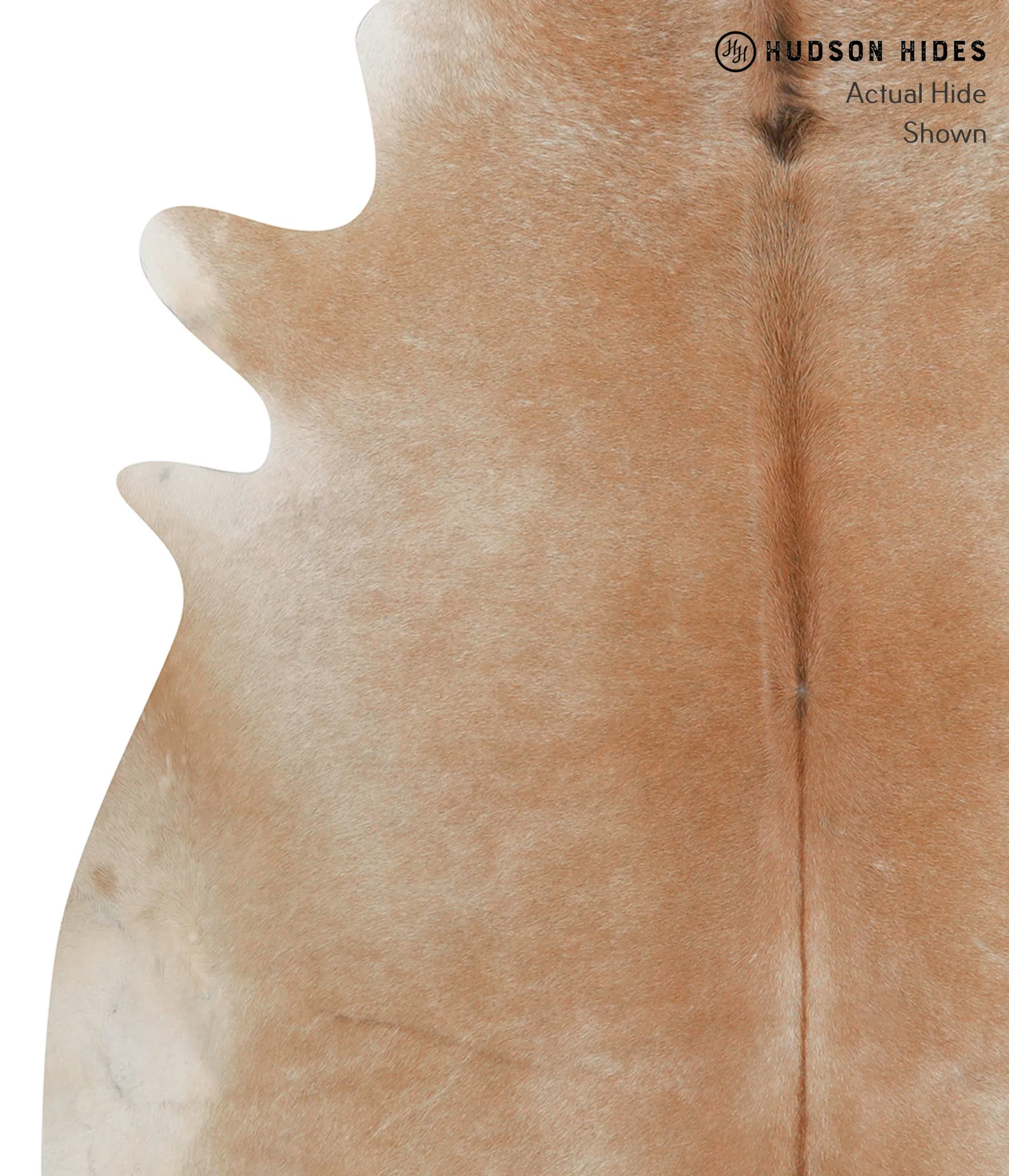 Beige X-Large Brazilian Cowhide Rug 6'4"H x 6'3"W #85469 by Hudson Hides