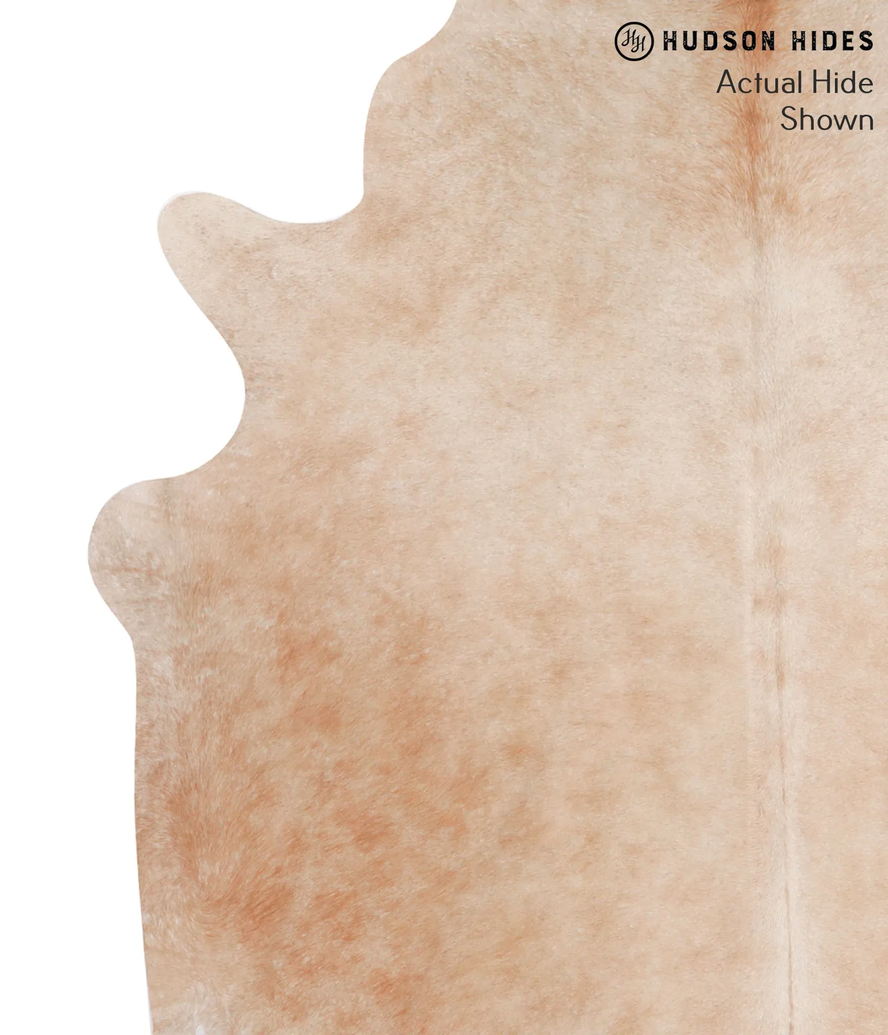 Beige X-Large Brazilian Cowhide Rug 7'0"H x 6'5"W #70438 by Hudson Hides