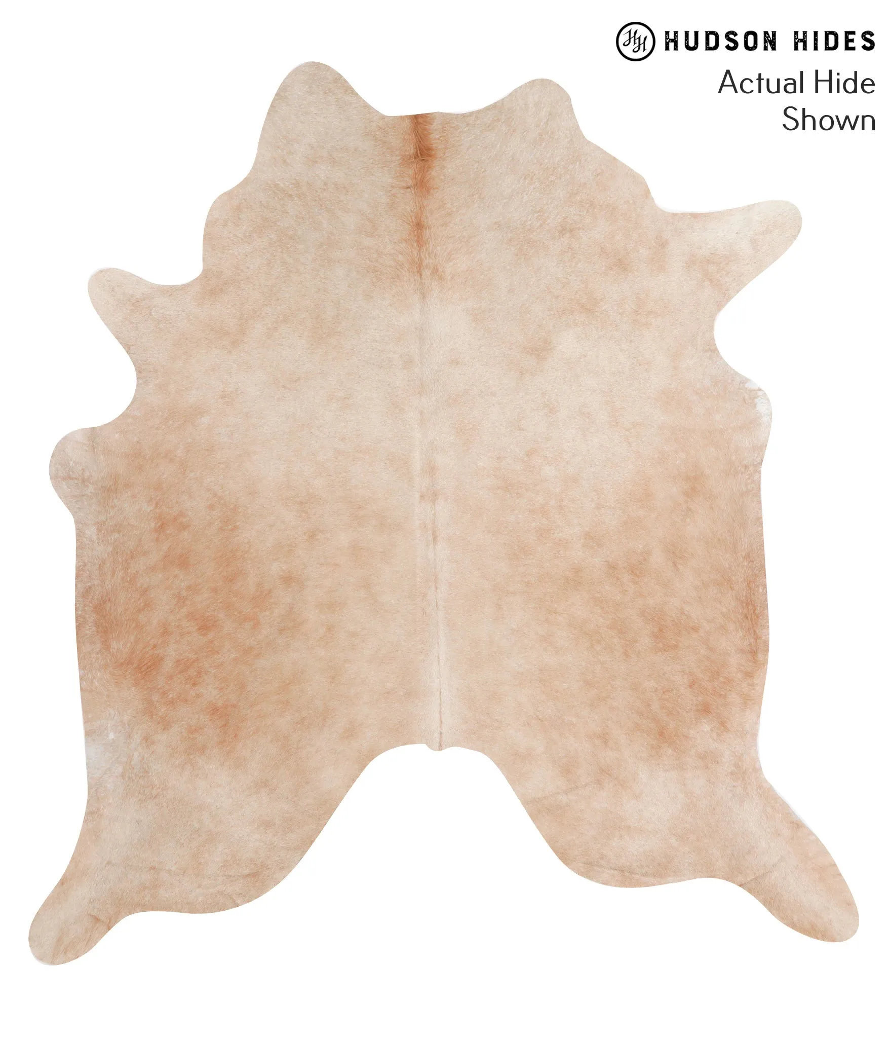 Beige X-Large Brazilian Cowhide Rug 7'0"H x 6'5"W #70438 by Hudson Hides