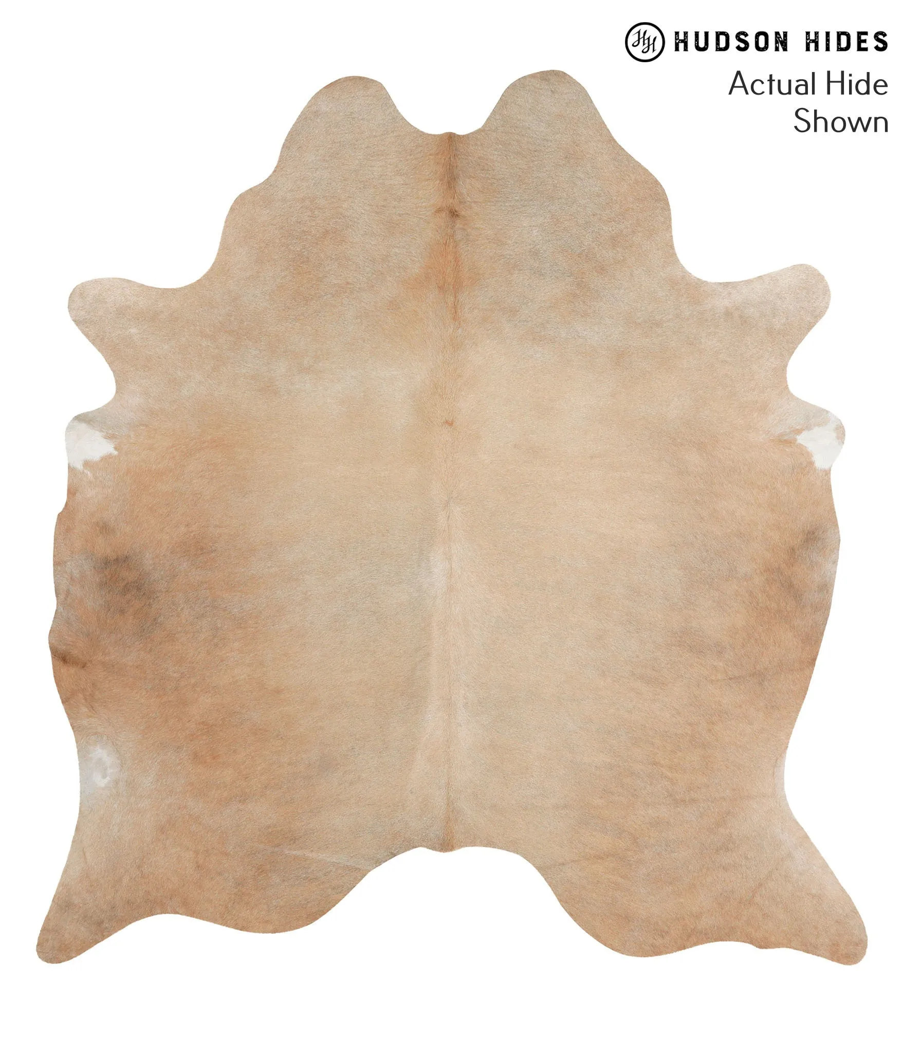 Beige X-Large Brazilian Cowhide Rug 7'0"H x 6'6"W #66922 by Hudson Hides