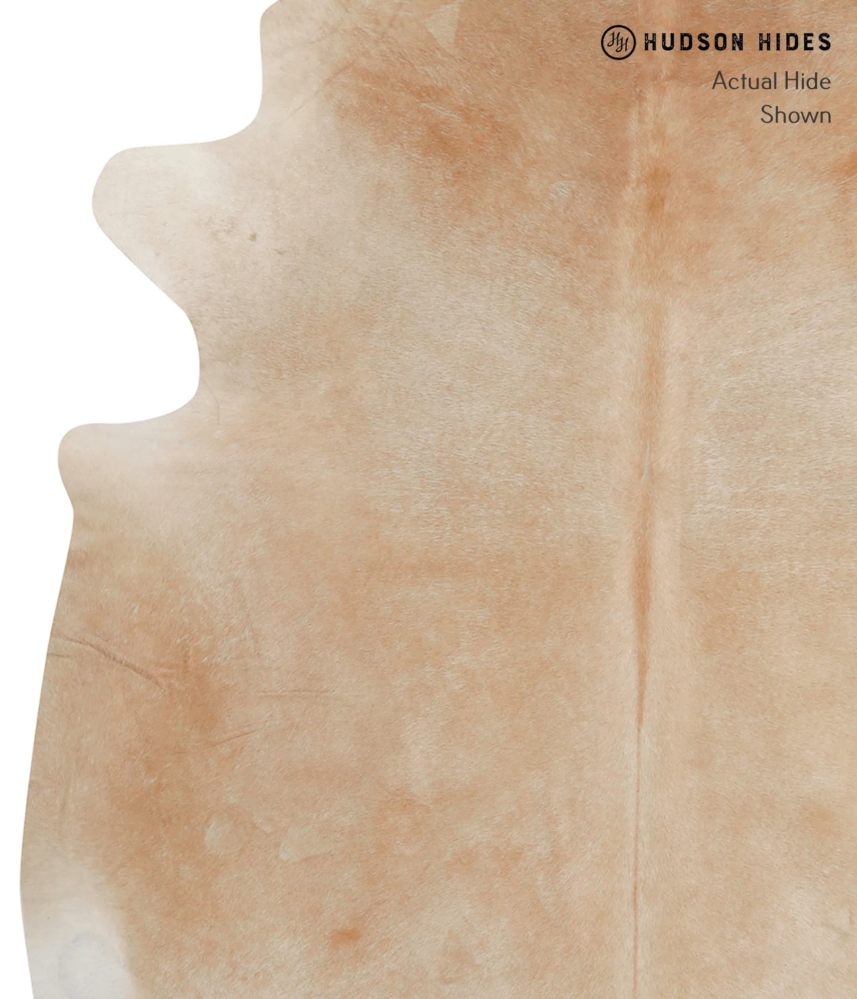 Beige XX-Large Brazilian Cowhide Rug 7'8"H x 6'11"W #83049 by Hudson Hides