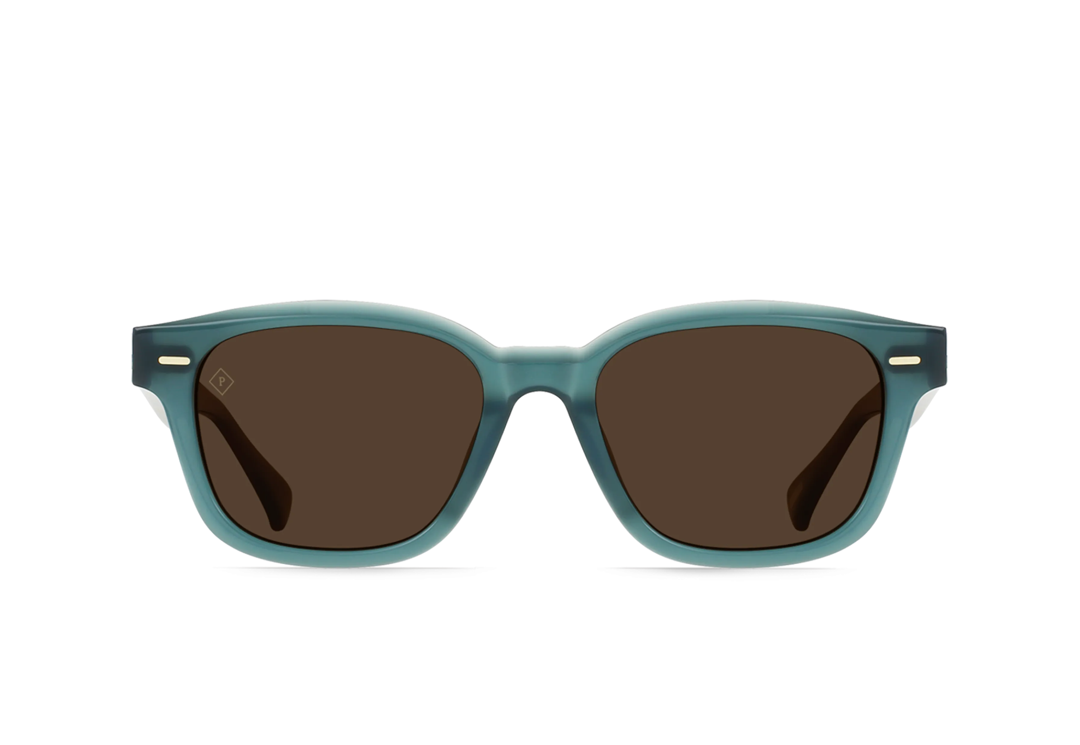 CARBY-Cirus / Vibrant Brown Polarized-53