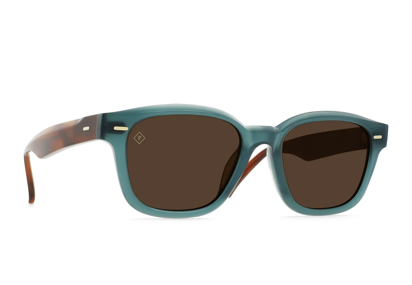 CARBY-Cirus / Vibrant Brown Polarized-53