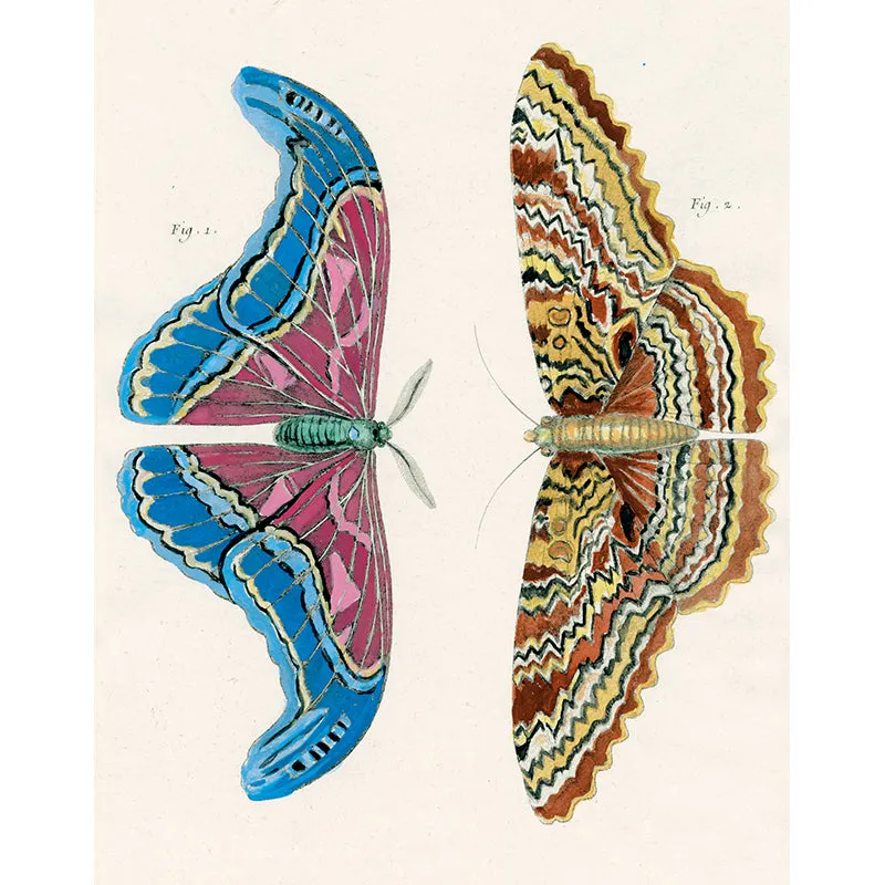 Colorful Butterflies (p 267)