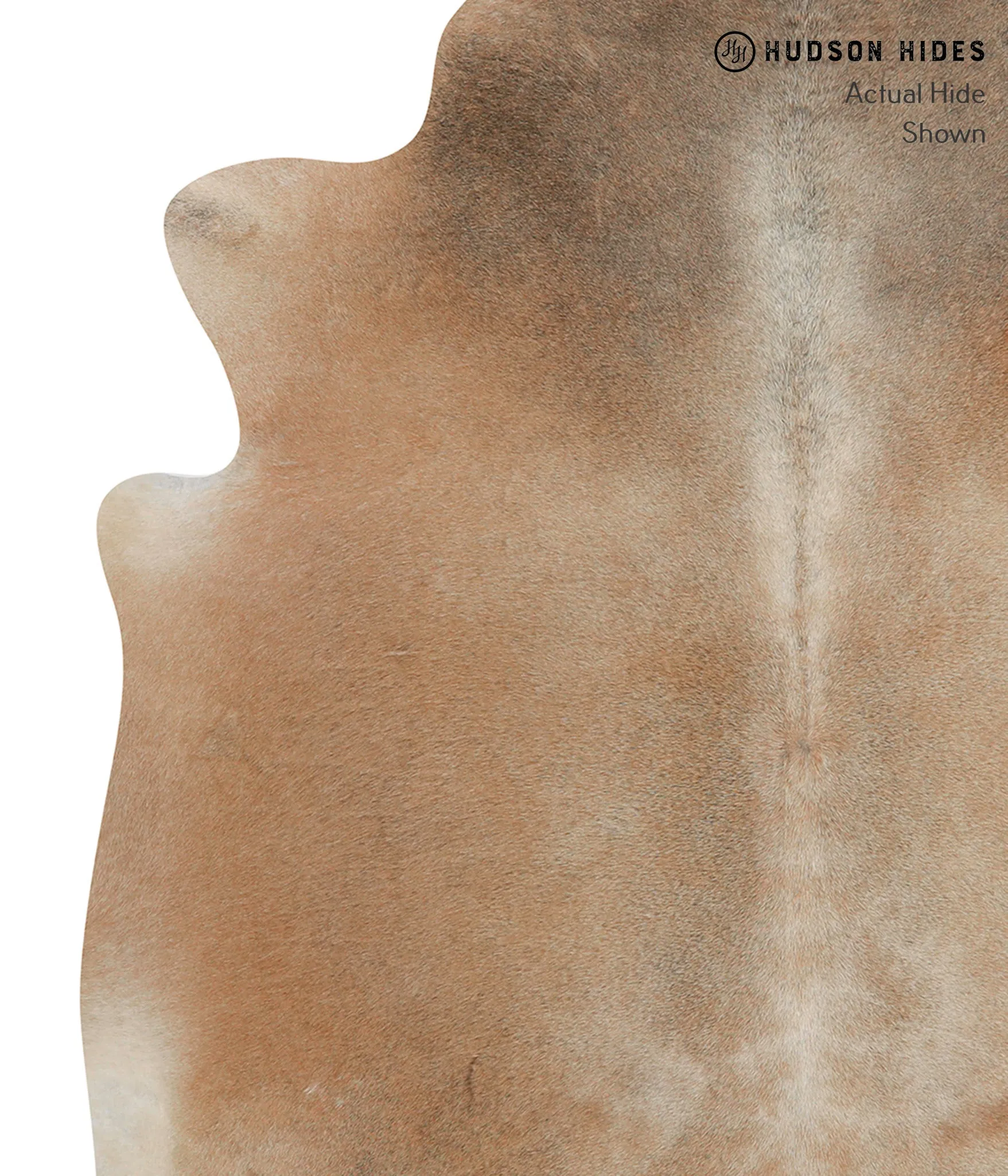 Grey with Beige X-Large Brazilian Cowhide Rug 6'11"H x 6'6"W #84982 by Hudson Hides