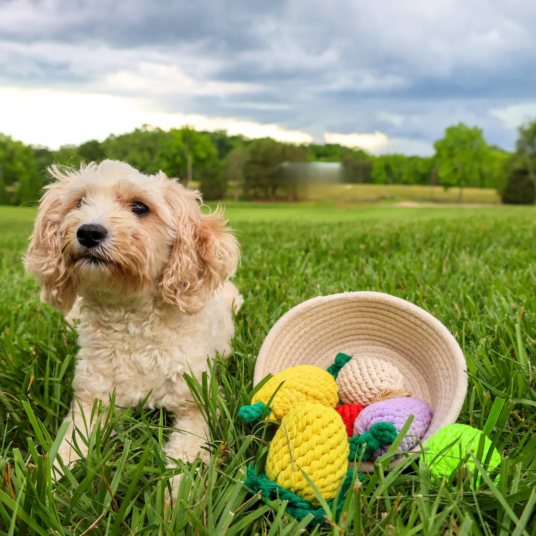 Handmade Green Apple Rope Toy