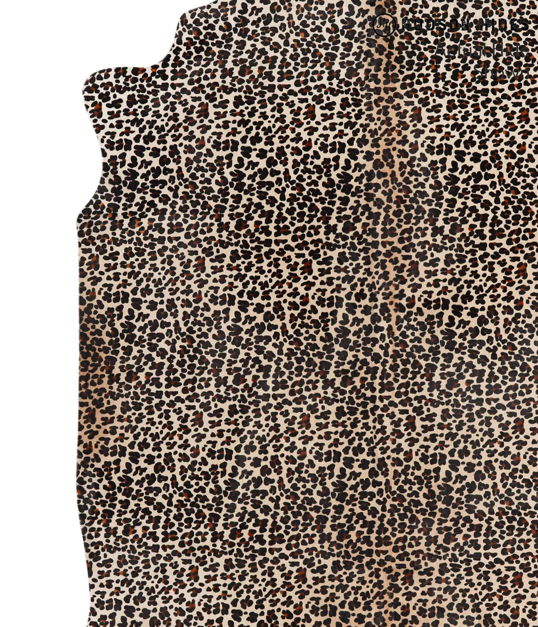 Jaguar Large Brazilian Cowhide Rug 6'5"H x 5'5"W #64903 by Hudson Hides