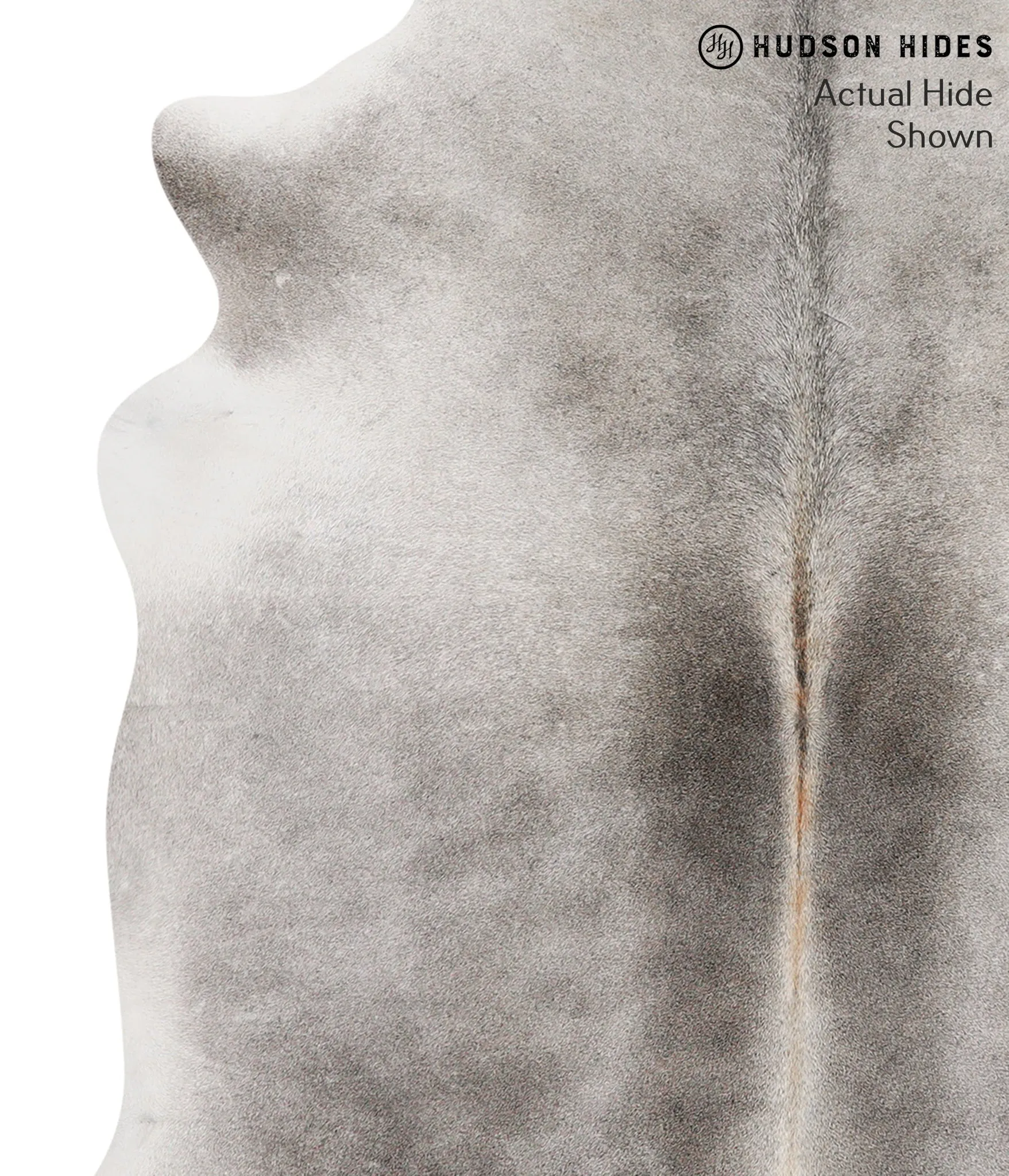 Medium Grey Large Brazilian Cowhide Rug 6'3"H x 5'6"W #69036 by Hudson Hides