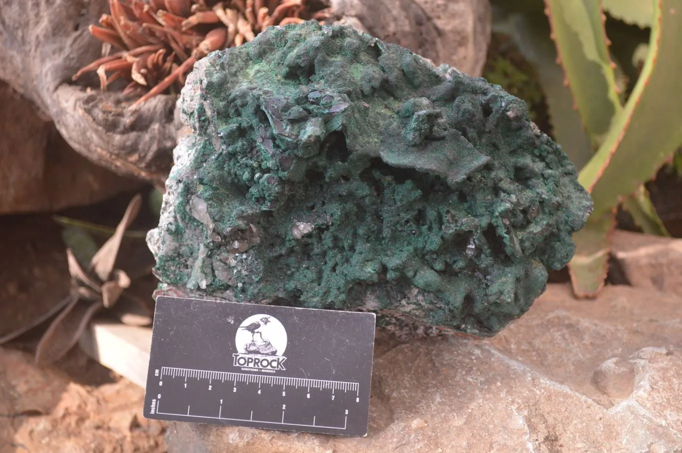 Natural Crystalline Malachite With Smokey Quartz Specimen x 1 From Congo