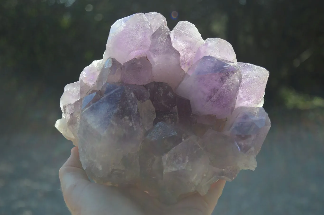 Natural Jacaranda Amethyst Clusters x 1 From Zambia