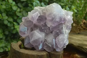 Natural Jacaranda Amethyst Clusters x 1 From Zambia