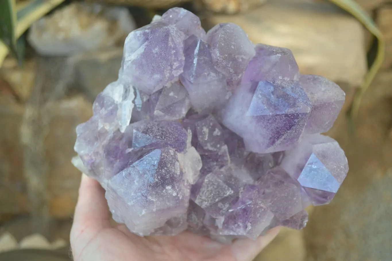 Natural Jacaranda Amethyst Clusters x 1 From Zambia