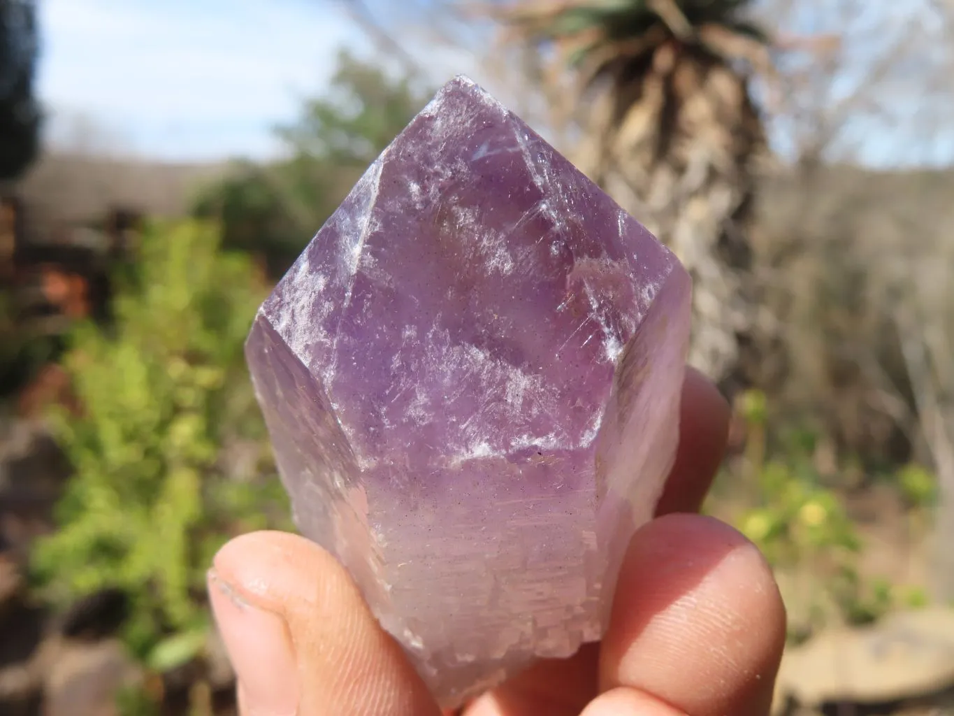 Natural Jacaranda Amethyst Points x 12 From Zambia