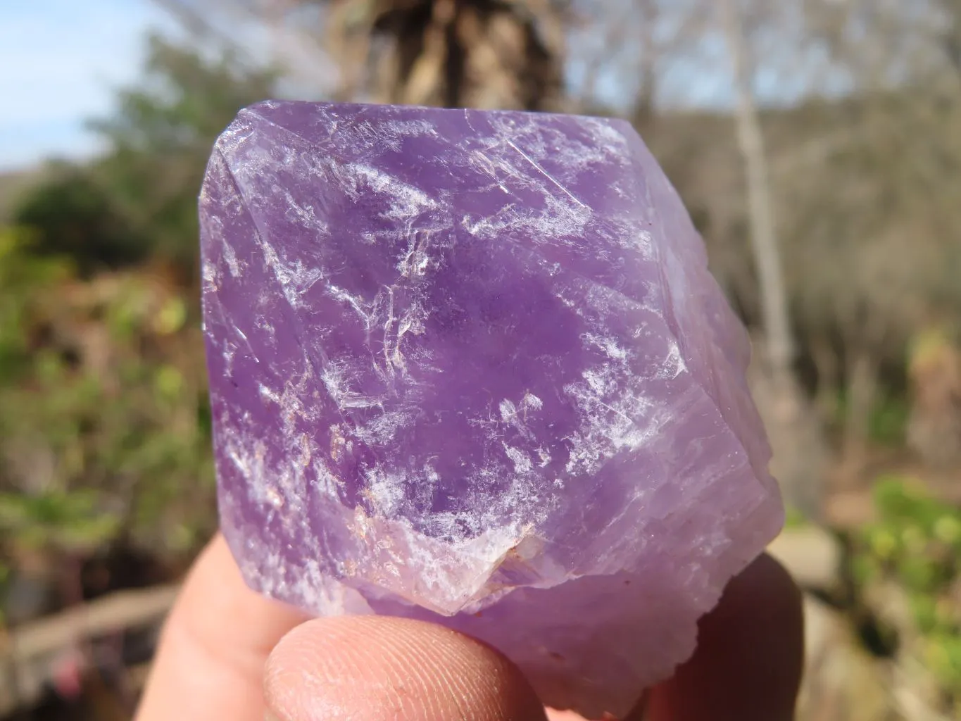 Natural Jacaranda Amethyst Points x 12 From Zambia