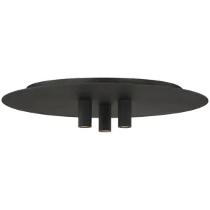 Ponte 16 in. LED Flush Mount Light Black Finish 120V