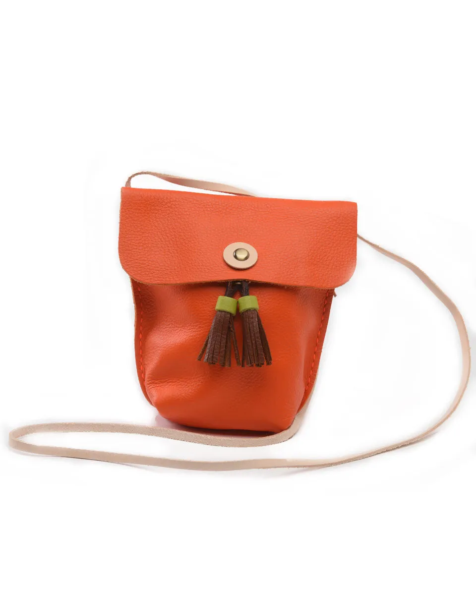 Small Colorful Leather Purse