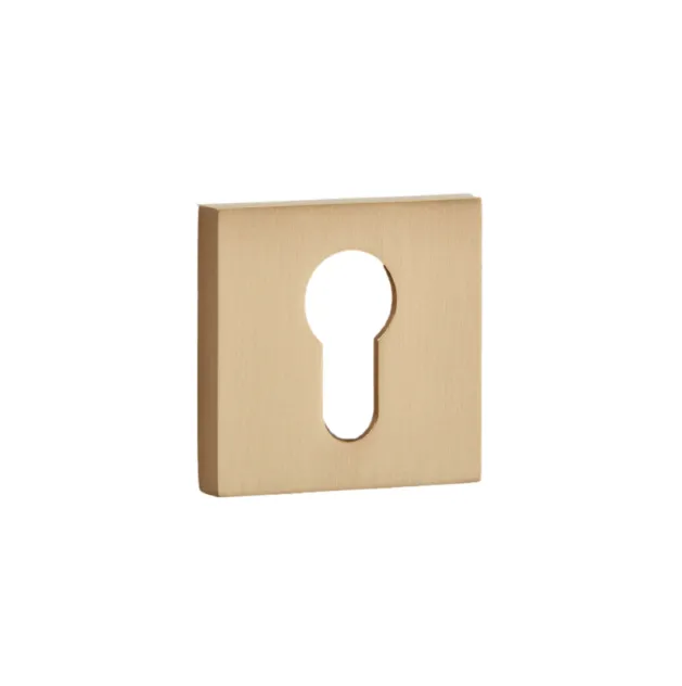 Square Escutcheon / Concealed Fix